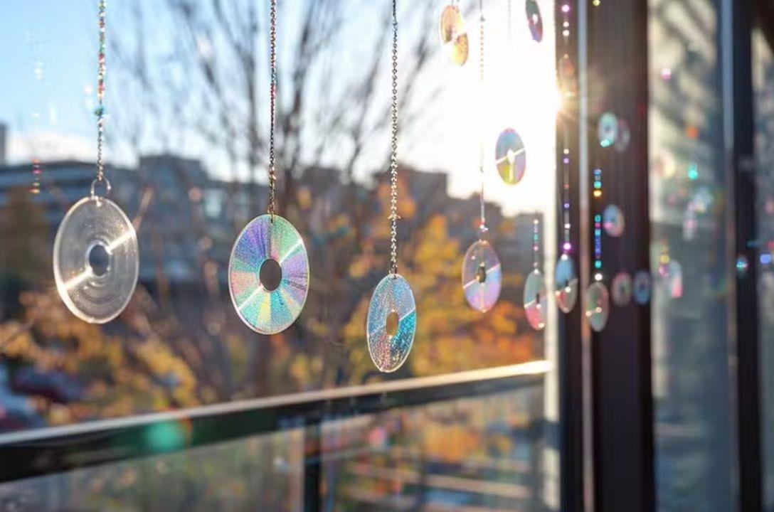 CDs pendurados espantam pombos