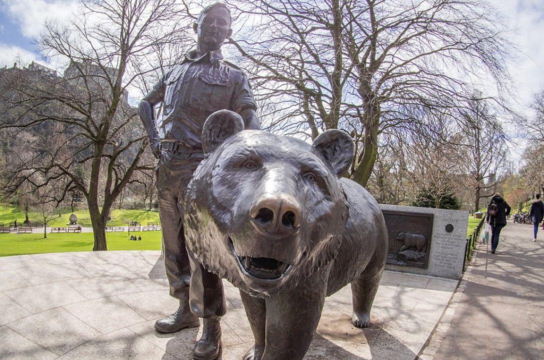 O soldado mais improvável da Segunda Guerra era um urso pardo