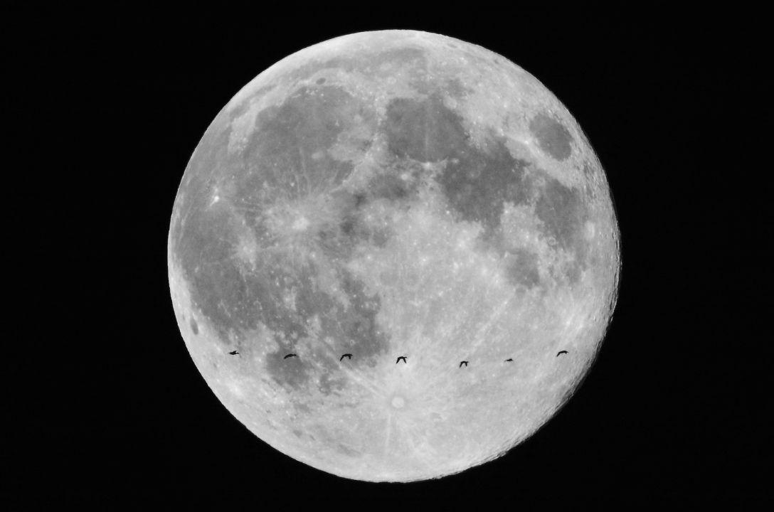 Novembro também terá a superlua do castor